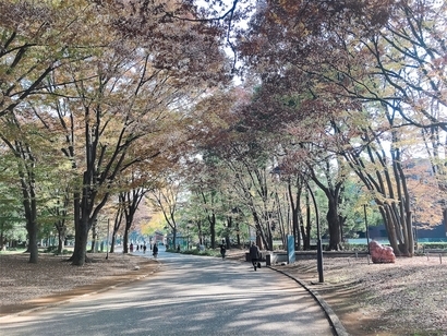 f:id:acu_qian-ming:20181130063541j:plain