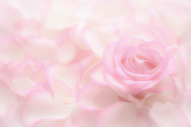 f:id:acu_qian-ming:20190820213844j:plain f:id:acu_qian-ming:20190820213844j:plain