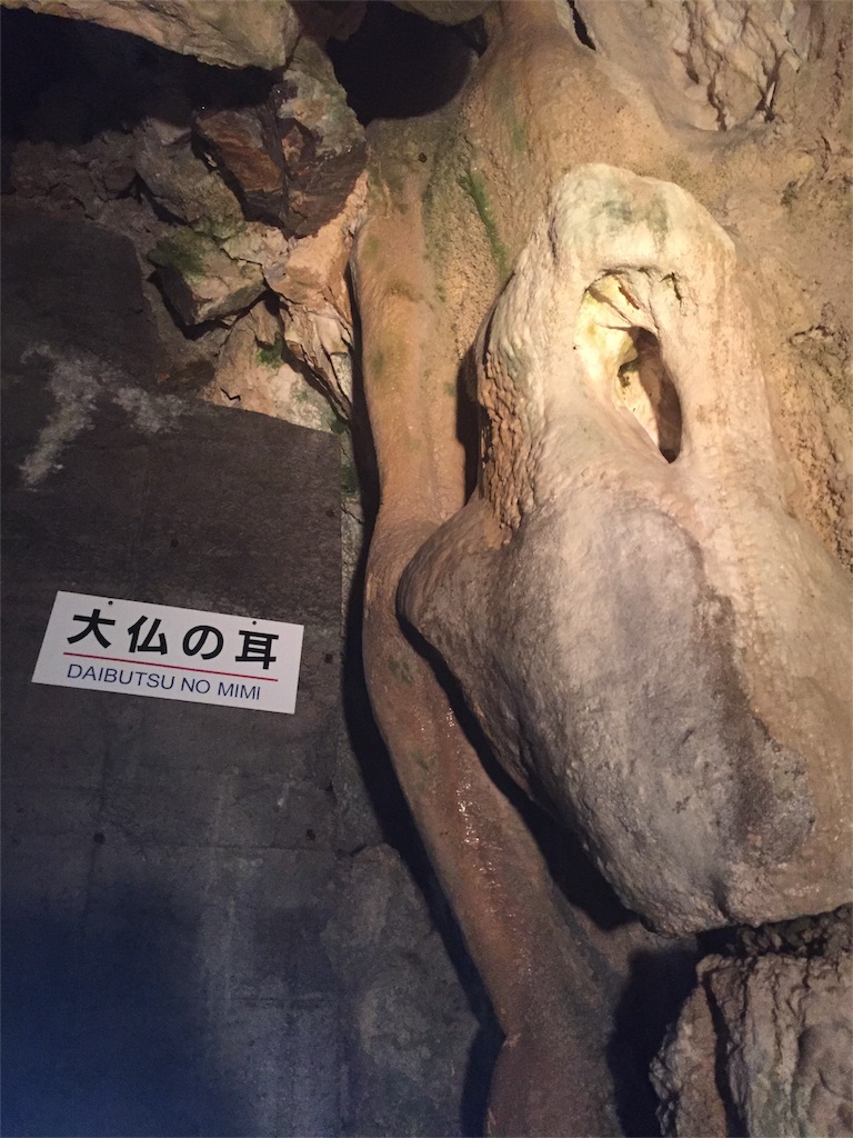 f:id:acupuncturist_ryo:20180502171855j:image