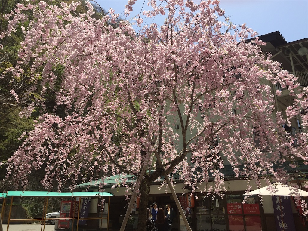 f:id:acupuncturist_ryo:20180502172011j:image
