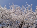 20110410103948