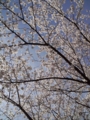 20110410104414