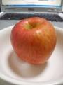 20110414010939