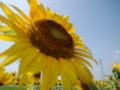20110731135747
