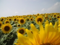 20110731135828