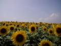 20110731135900