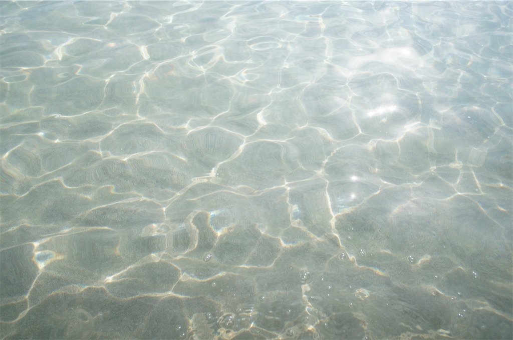 水の中は自由。 - 有馬りずのわくわくライフ