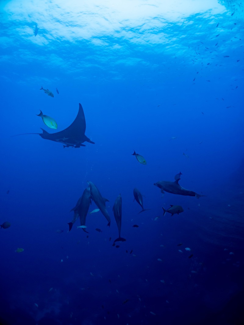 f:id:ad_astra:20190502151155j:plain
