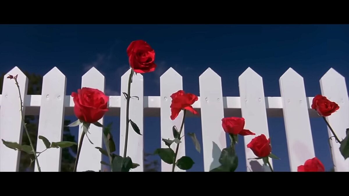Blue Velvet - Bobby Vinton （ブルーベルベット／ボビー・ビントン