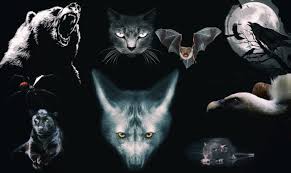 f:id:ada0328:20190702195034j:plain