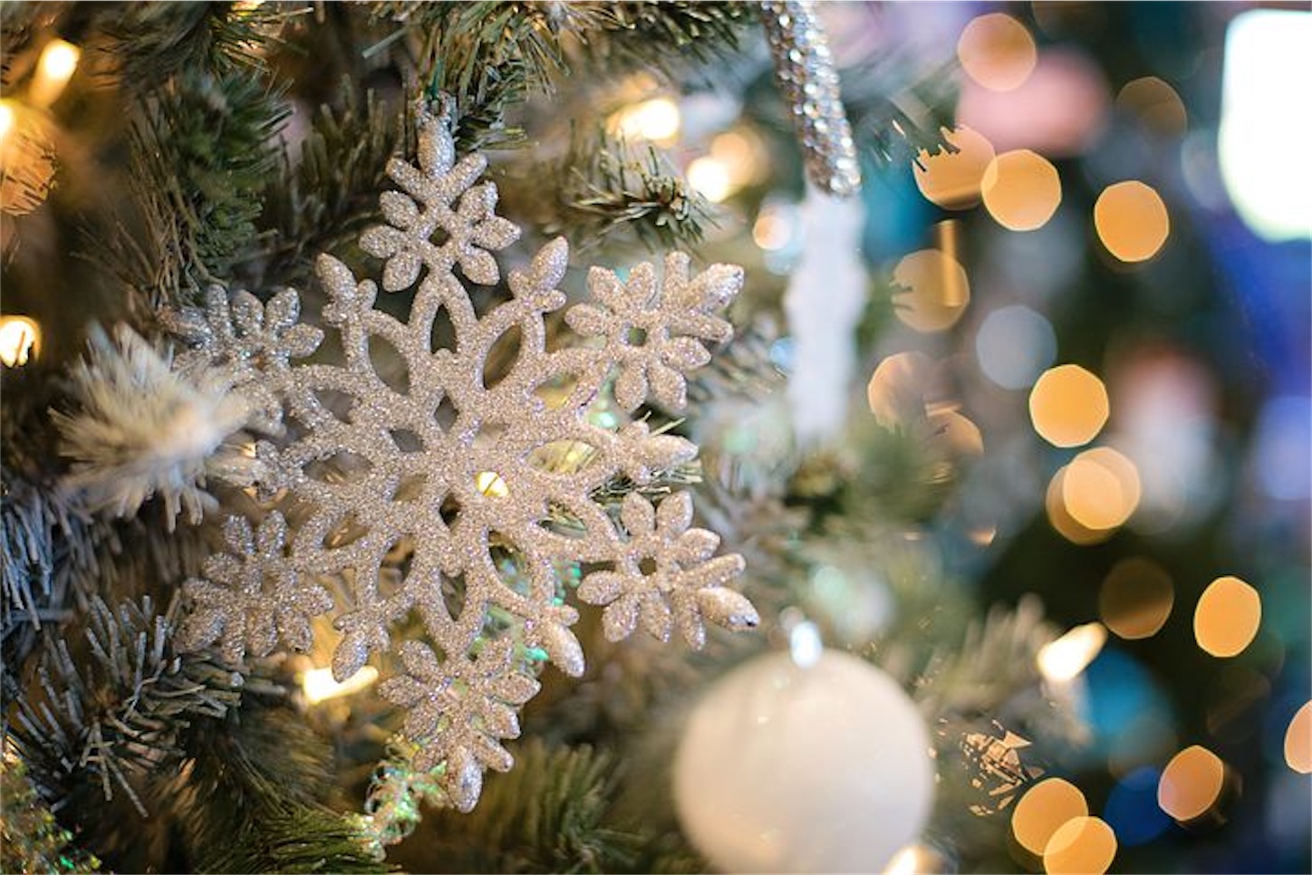 f:id:ada110810:20210103035535j:image f:id:ada110810:20210103035535j:image