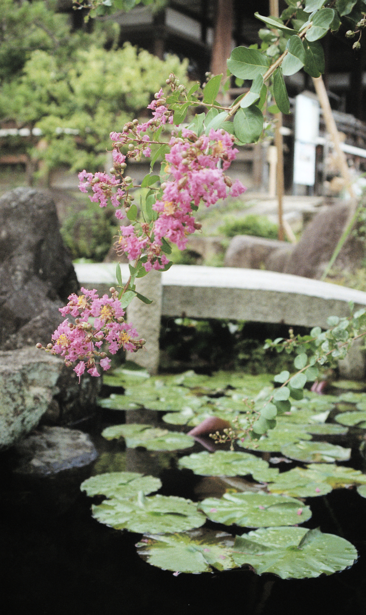X-FUJINON-Z 43-75 ➕　テレコン　×2➕　FUJICA AX-5 Fuji Photo Film X-Fujinon-Z 43-75mm F/3.5-4.5 DM | LENS-DB.COM