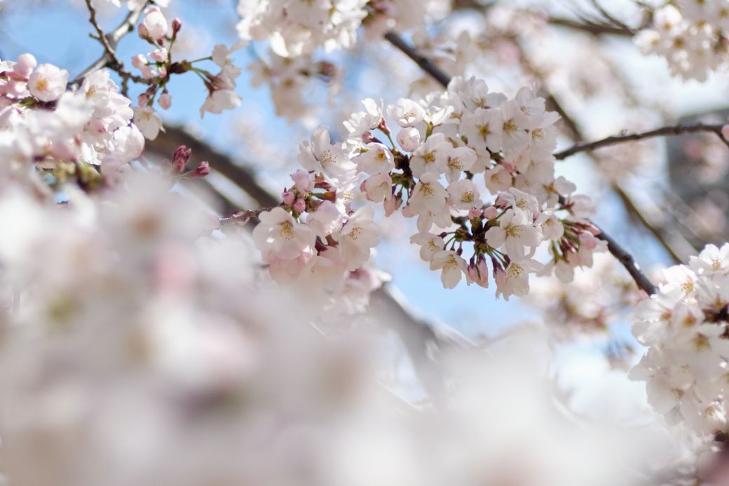 f:id:ada_6:20220330110349j:plain