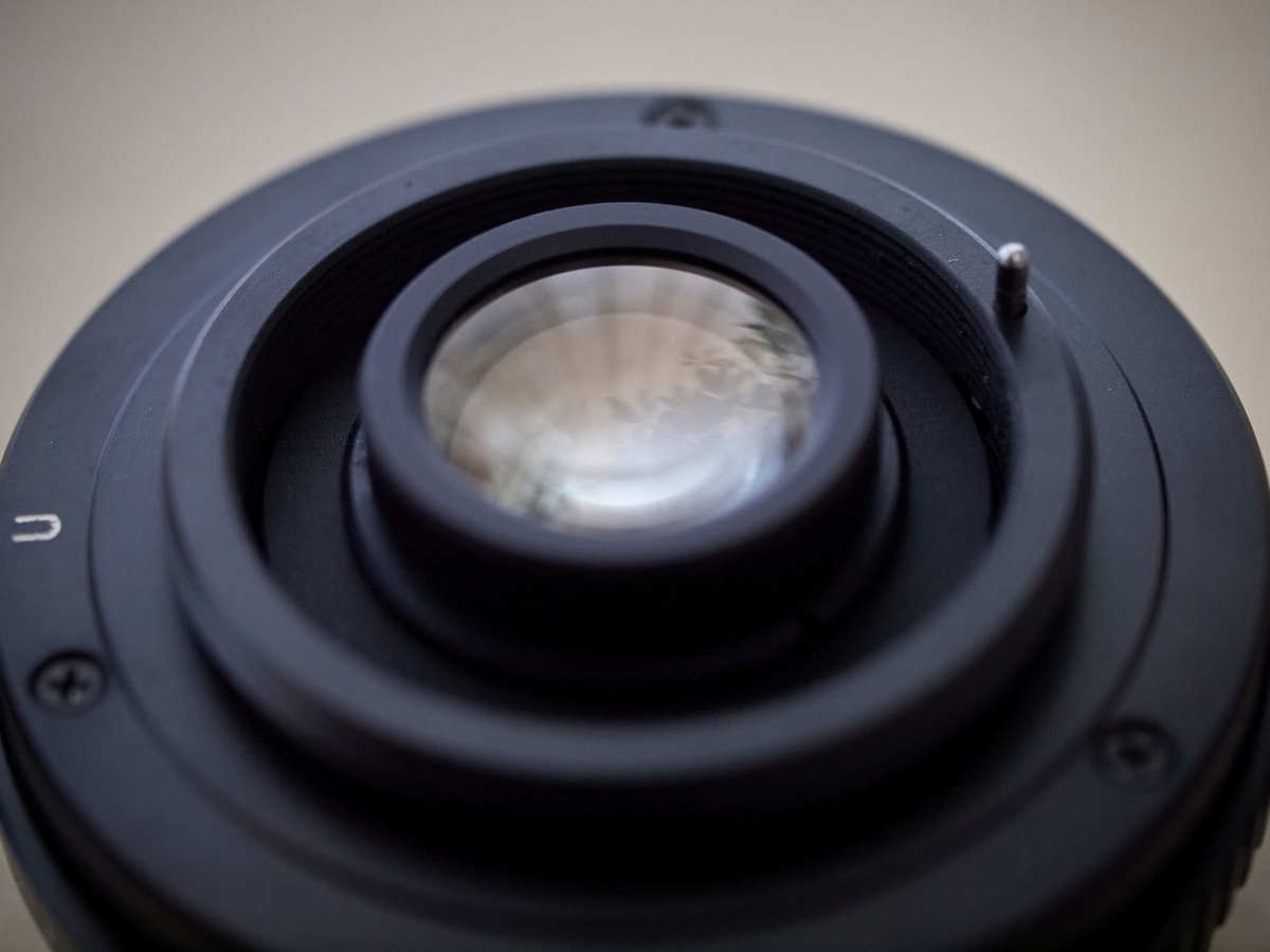 レンズ(単焦点) RMC Tokina 28mm 2.8 NIKON ｼﾞｬﾝｸなﾚﾝｽﾞで蓮を撮りに行ってみた 4 RMC Tokina 28mm F2.8編