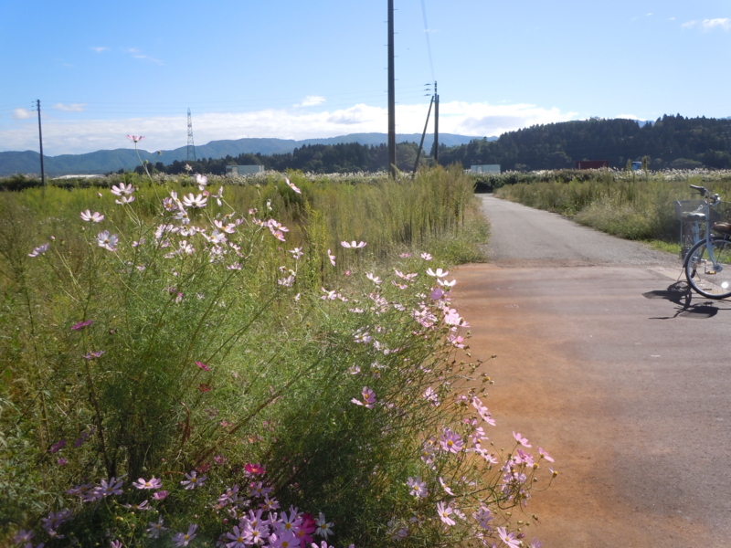 f:id:adachi1937:20120928091924j:image