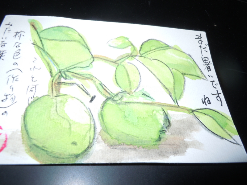 f:id:adachi1937:20120928184656j:image