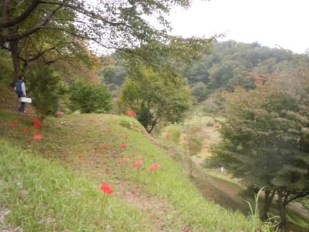 f:id:adachi1937:20150924100609j:image f:id:adachi1937:20150924100609j:image