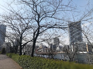 f:id:adagio-nijiiro:20180227215604j:image f:id:adagio-nijiiro:20180227215604j:image