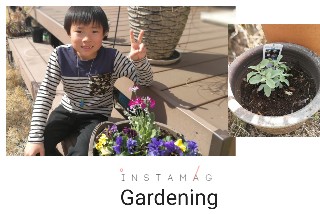 f:id:adagio-nijiiro:20180304214013j:image f:id:adagio-nijiiro:20180304214013j:image
