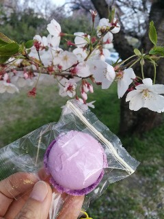 f:id:adagio-nijiiro:20180402023027j:image f:id:adagio-nijiiro:20180402023027j:image