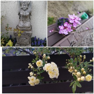 f:id:adagio-nijiiro:20180408183155j:image f:id:adagio-nijiiro:20180408183155j:image