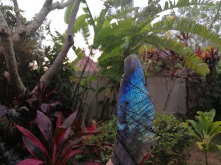 f:id:adagio-nijiiro:20180604195408j:image f:id:adagio-nijiiro:20180604195408j:image
