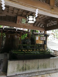 f:id:adagio-nijiiro:20180628090617j:image f:id:adagio-nijiiro:20180628090617j:image