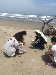 f:id:adagio-nijiiro:20180713132047j:image f:id:adagio-nijiiro:20180713132047j:image