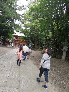 f:id:adagio-nijiiro:20180714005928j:image f:id:adagio-nijiiro:20180714005928j:image