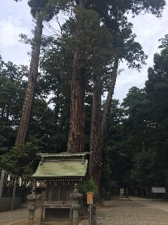 f:id:adagio-nijiiro:20180714015901j:image f:id:adagio-nijiiro:20180714015901j:image