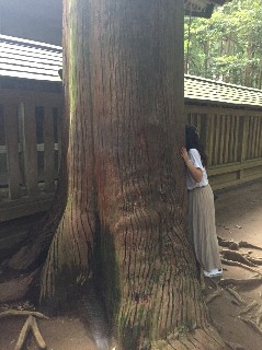 f:id:adagio-nijiiro:20180714023558j:image f:id:adagio-nijiiro:20180714023558j:image