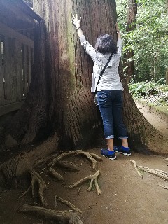 f:id:adagio-nijiiro:20180714023849j:image f:id:adagio-nijiiro:20180714023849j:image