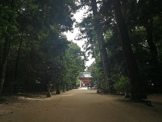 f:id:adagio-nijiiro:20180714030824j:image f:id:adagio-nijiiro:20180714030824j:image