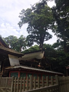 f:id:adagio-nijiiro:20180714031333j:image f:id:adagio-nijiiro:20180714031333j:image