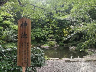 f:id:adagio-nijiiro:20180717001751j:image