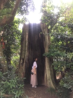 f:id:adagio-nijiiro:20180717010408j:image