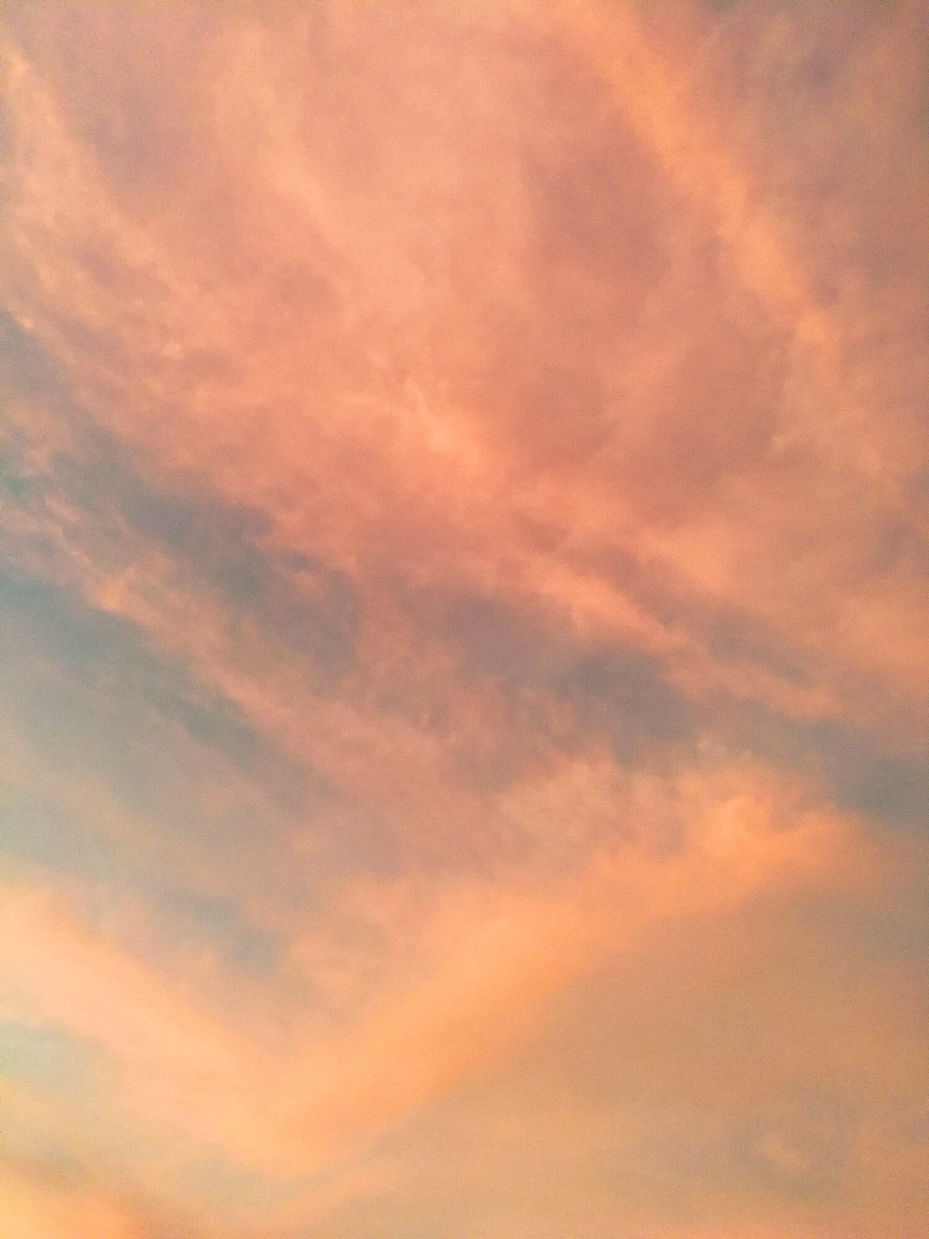 f:id:adagio-nijiiro:20180723011127j:image f:id:adagio-nijiiro:20180723011127j:image