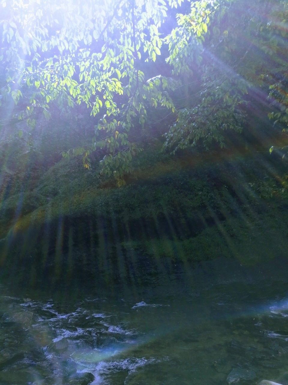 f:id:adagio-nijiiro:20180920160053j:image