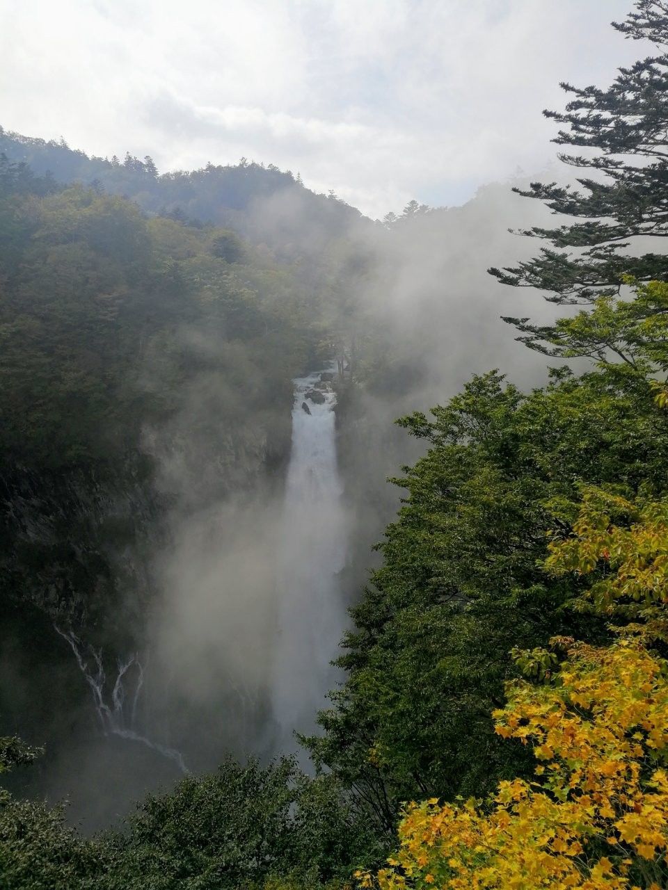 f:id:adagio-nijiiro:20181007224113j:image