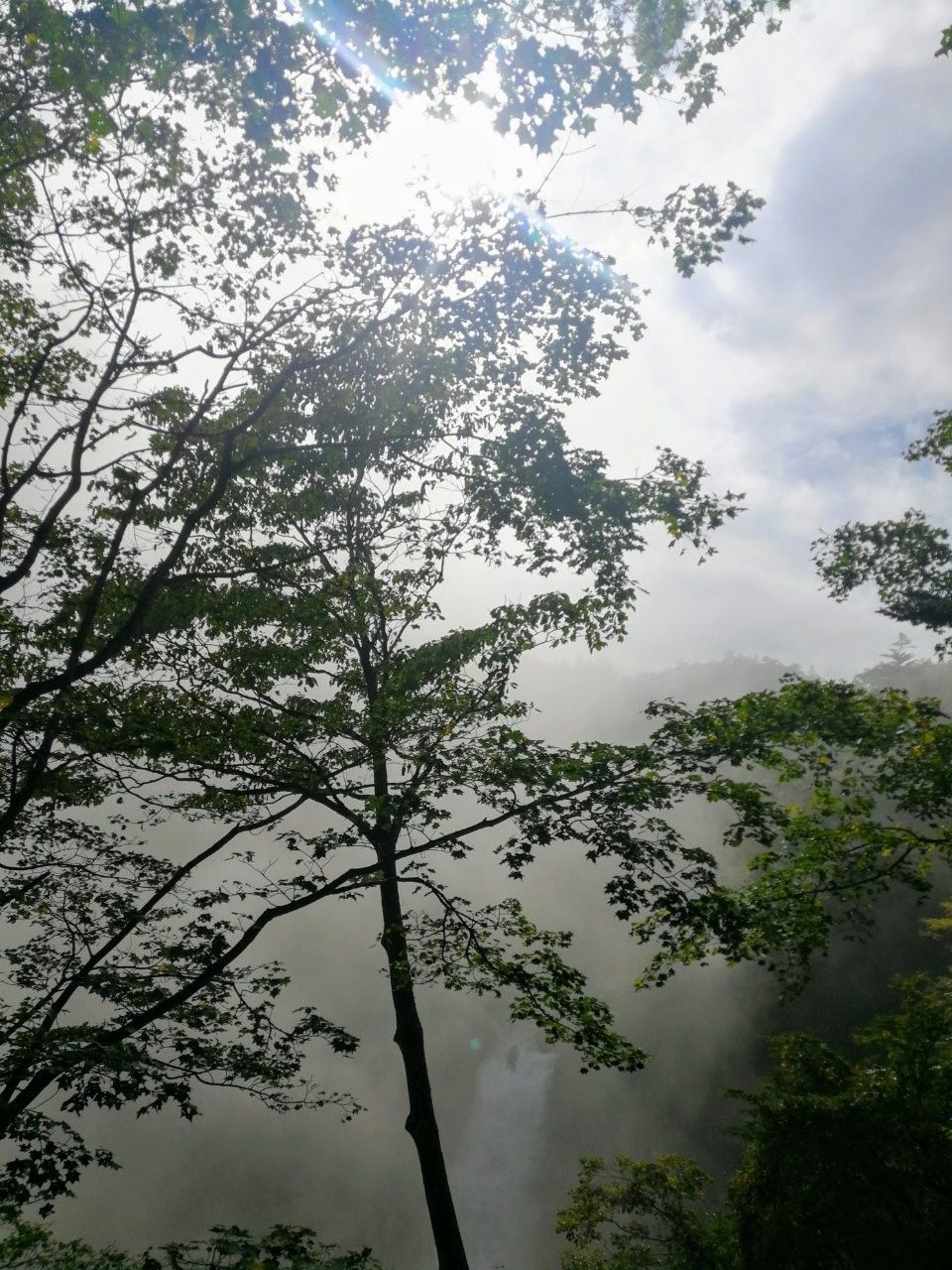 f:id:adagio-nijiiro:20181007224155j:image