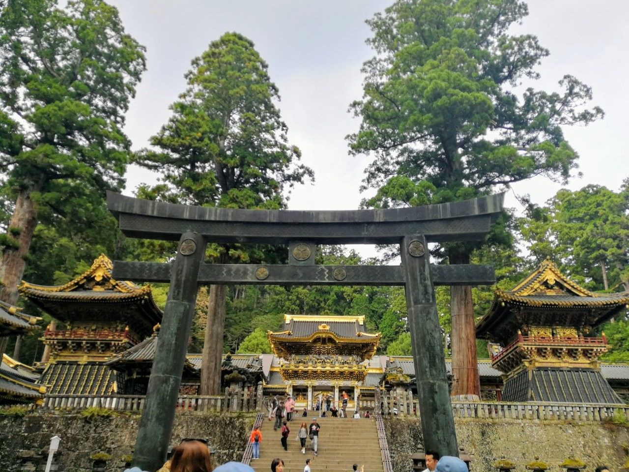f:id:adagio-nijiiro:20181008211216j:image f:id:adagio-nijiiro:20181008211216j:image