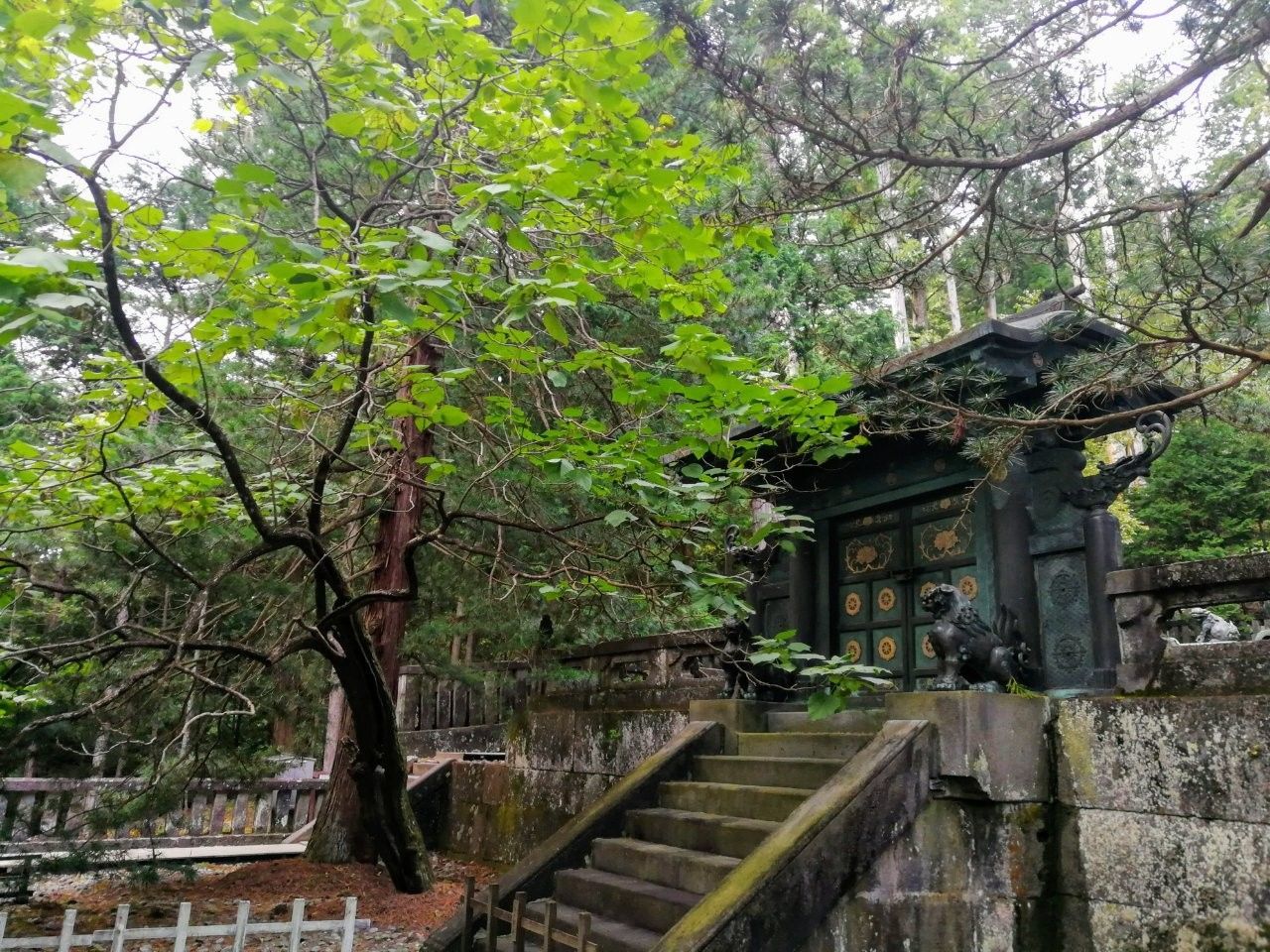 f:id:adagio-nijiiro:20181008234142j:image f:id:adagio-nijiiro:20181008234142j:image