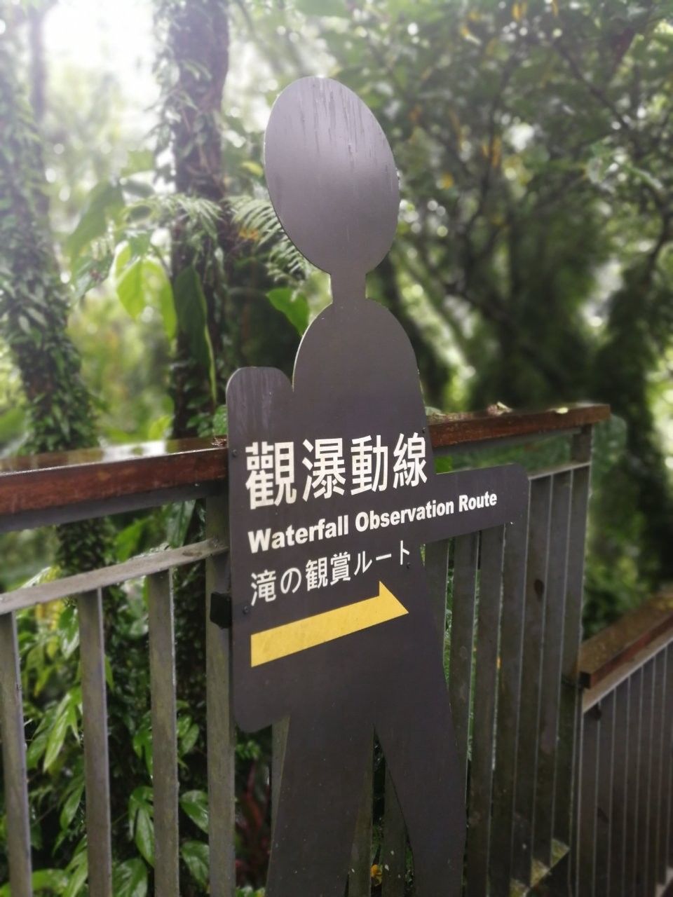f:id:adagio-nijiiro:20181031222708j:image f:id:adagio-nijiiro:20181031222708j:image