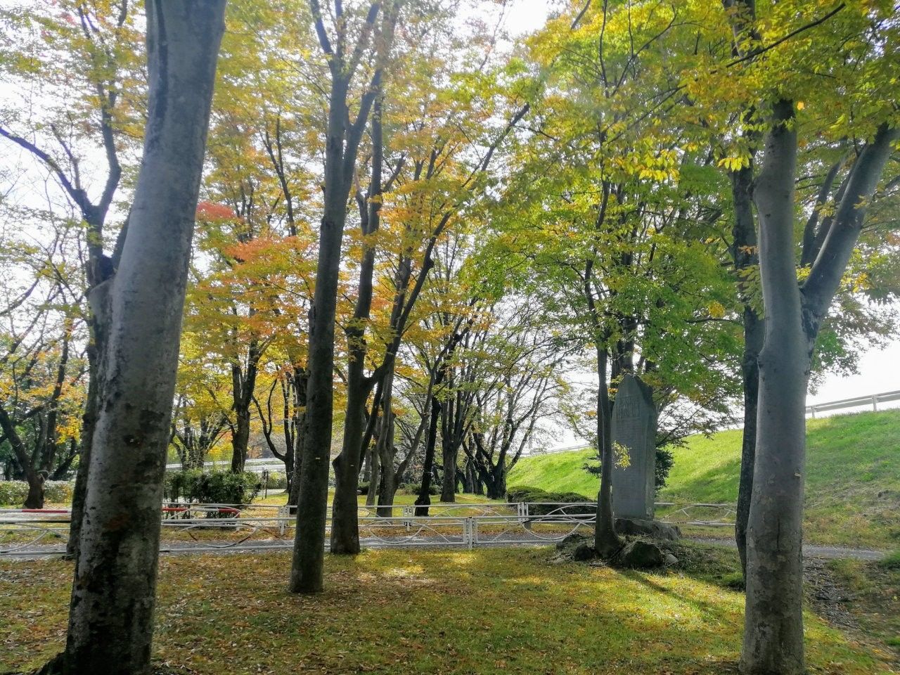 f:id:adagio-nijiiro:20181110003522j:image