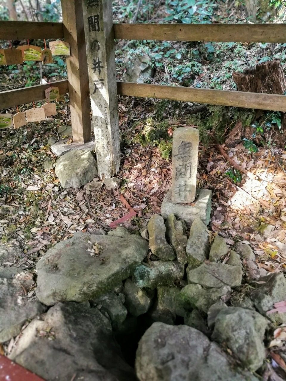 f:id:adagio-nijiiro:20181128151756j:image f:id:adagio-nijiiro:20181128151756j:image