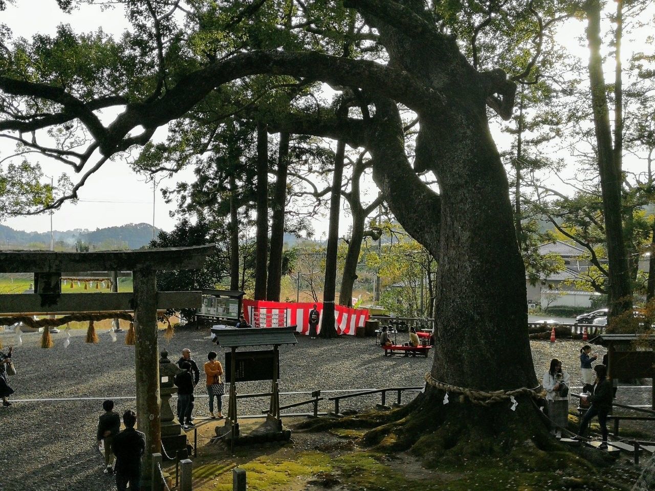 f:id:adagio-nijiiro:20181128163043j:image f:id:adagio-nijiiro:20181128163043j:image