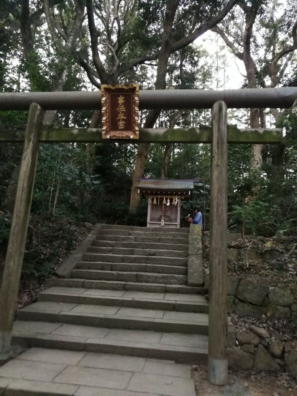 f:id:adagio-nijiiro:20181128163847j:image f:id:adagio-nijiiro:20181128163847j:image