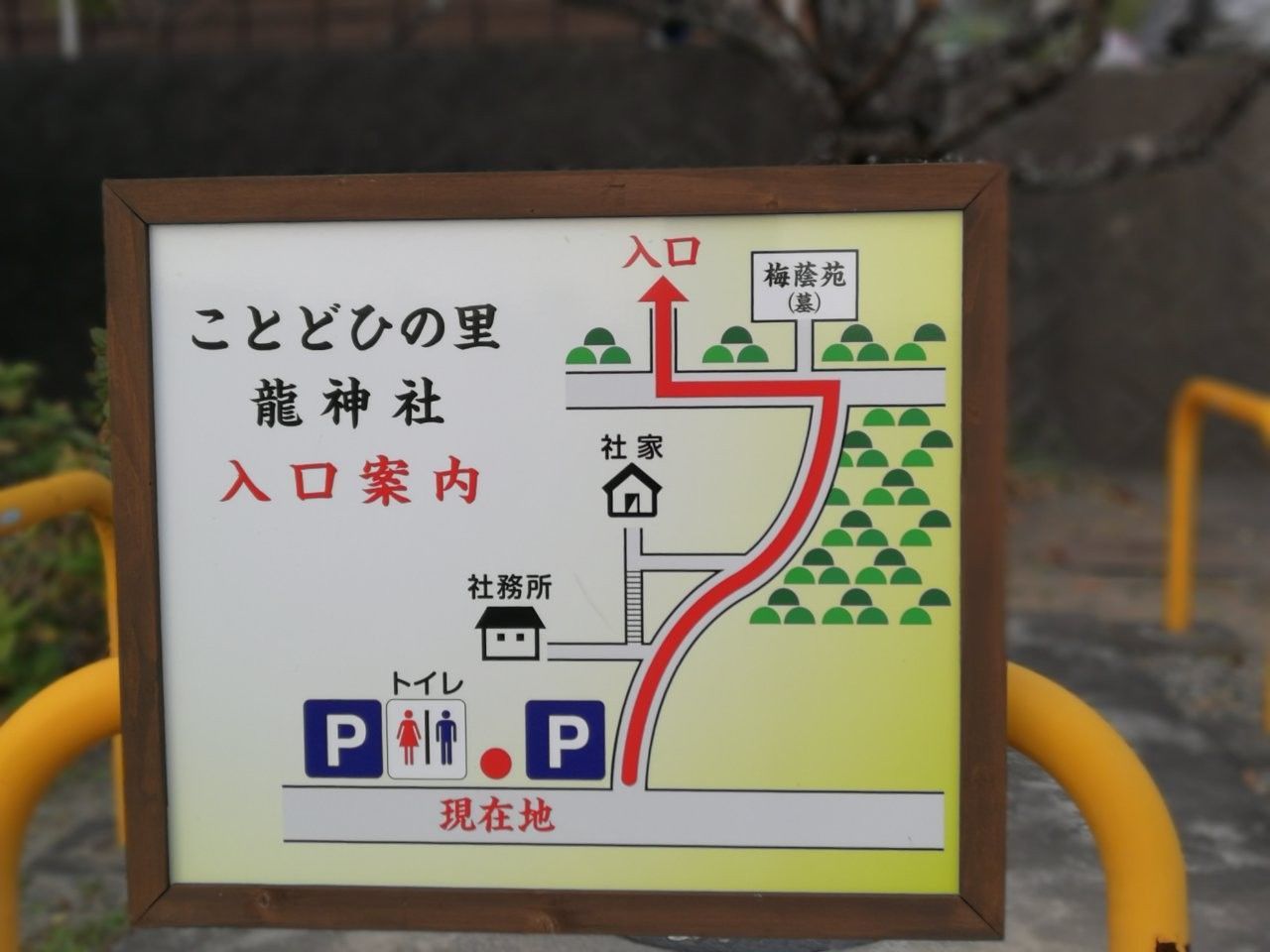 f:id:adagio-nijiiro:20181128165216j:image f:id:adagio-nijiiro:20181128165216j:image