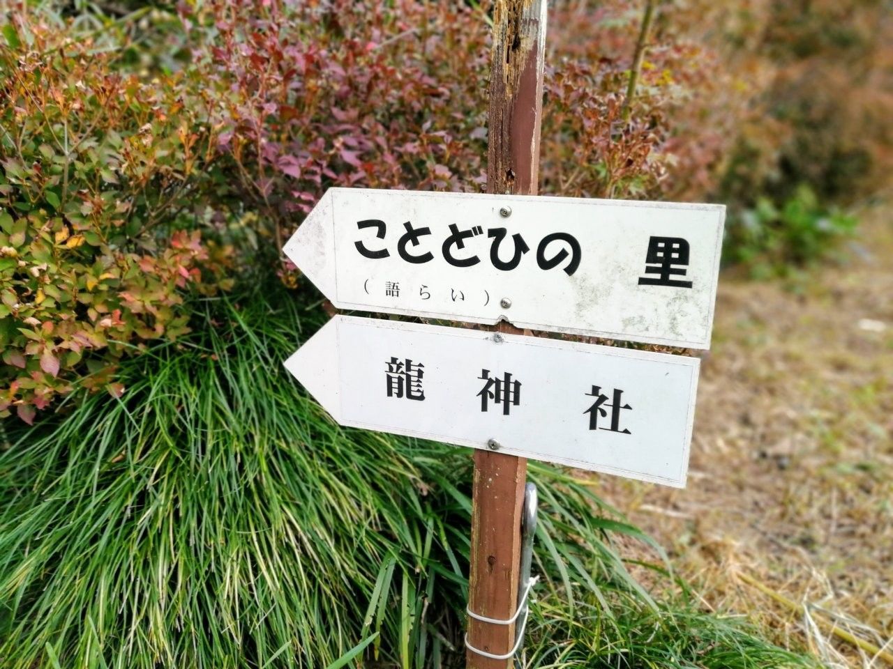 f:id:adagio-nijiiro:20181128170556j:image f:id:adagio-nijiiro:20181128170556j:image