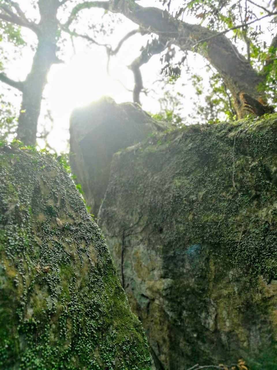 f:id:adagio-nijiiro:20181128173308j:image f:id:adagio-nijiiro:20181128173308j:image